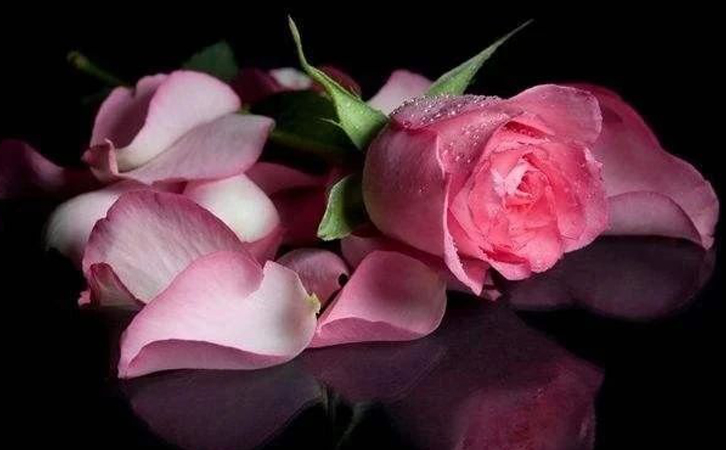 春暖花開｜瑞馬智能 “三八婦女節(jié)”暖心送祝福