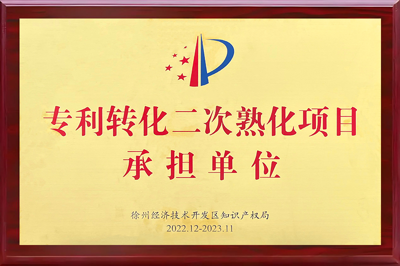 專(zhuān)利轉(zhuǎn)化二次熟化項(xiàng)目承擔(dān)單位