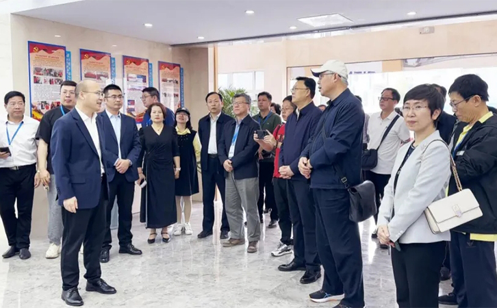 追夢中華·奮進(jìn)新江蘇丨2024海外華文媒體團(tuán)走進(jìn)瑞馬智能